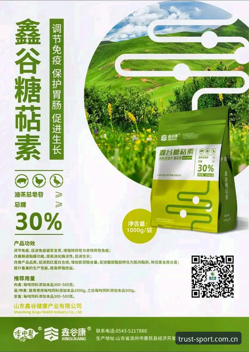 德信体育平台2026版本实用升级指南